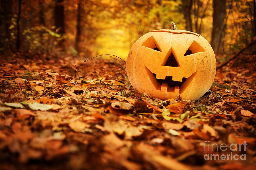 Halloween pumpkin in autumn forest Photograph by Michal Bednarek