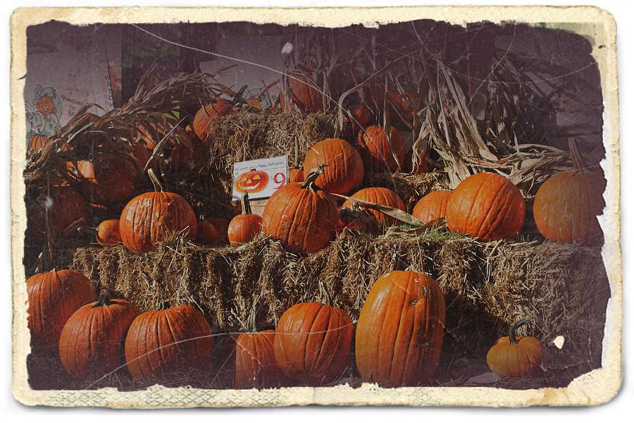 Halloween Photograph - Halloween Pumpkin by Nick Difi