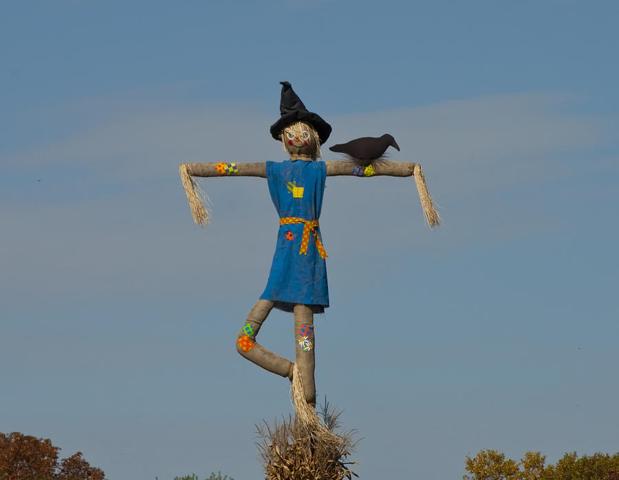 Halloween Scarecrow Photograph by Bill Cannon