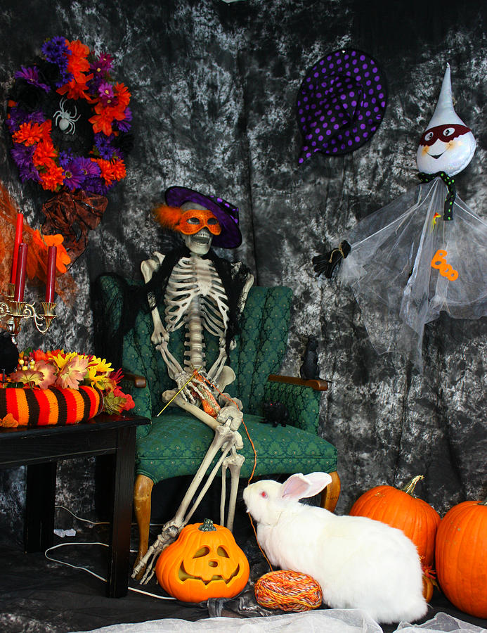 Halloween Scene Photograph by Amanda Stadther