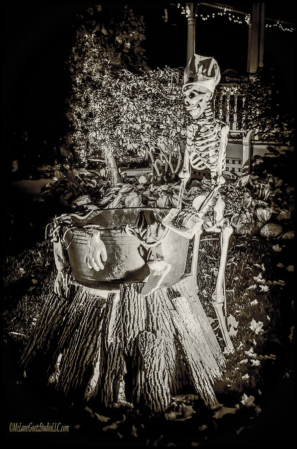Halloween Skeleton Cooking Photograph by LeeAnn McLaneGoetz McLaneGoetzStudioLLCcom