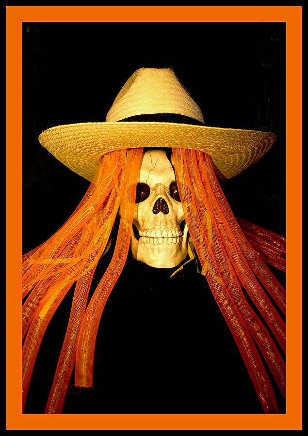 Halloween Skull Border Digital Art by Barbara Snyder