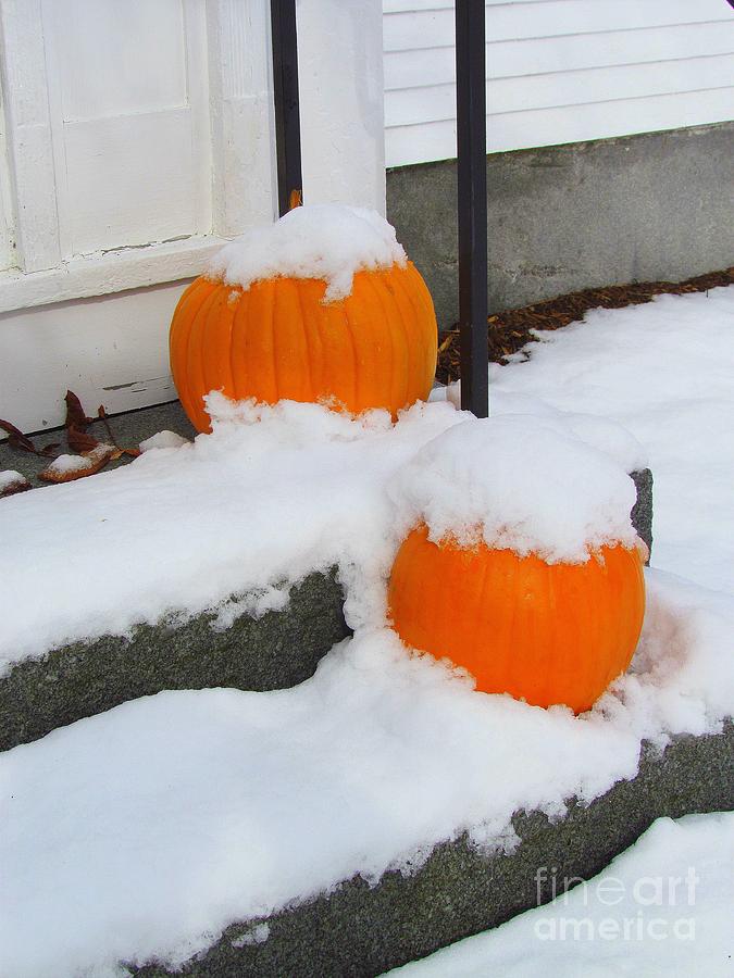 Halloween Snow Photograph by Elizabeth Dow | Fine Art America