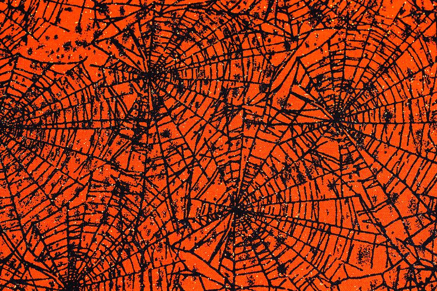 Halloween Spiderwebs Photograph by Patrice Zinck