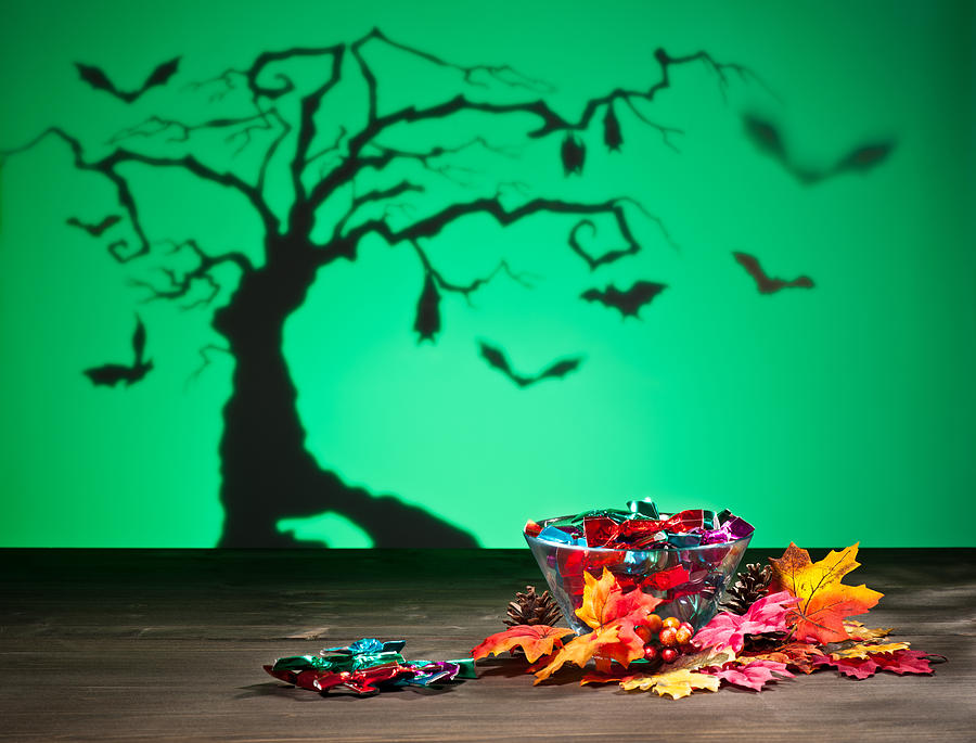 Halloween tree bats and sweets Photograph by U Schade