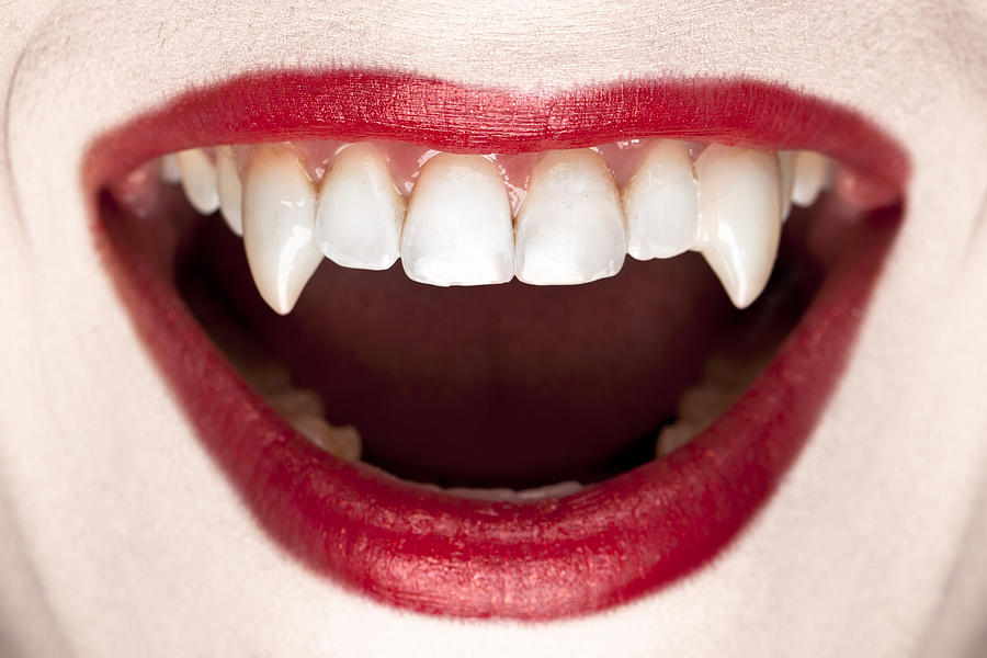 Halloween Vampire Teeth Photograph by Inhauscreative