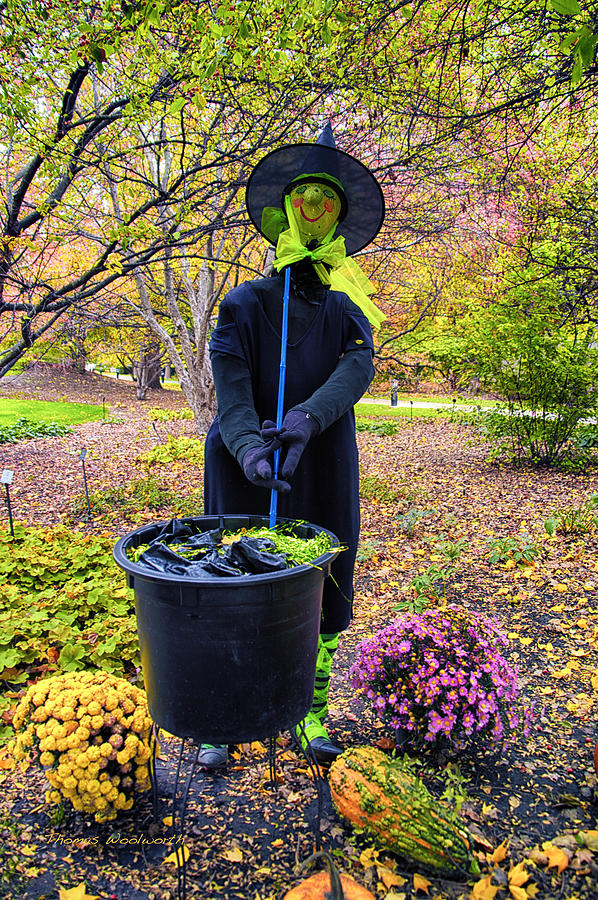 Halloween Photograph - Halloween Witch by Thomas Woolworth