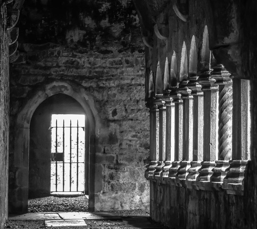 Halls of Quin Abbey Photograph by James Truett