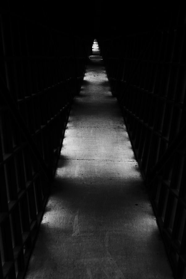 Hallway to Nowhere Photograph by Christi Kraft