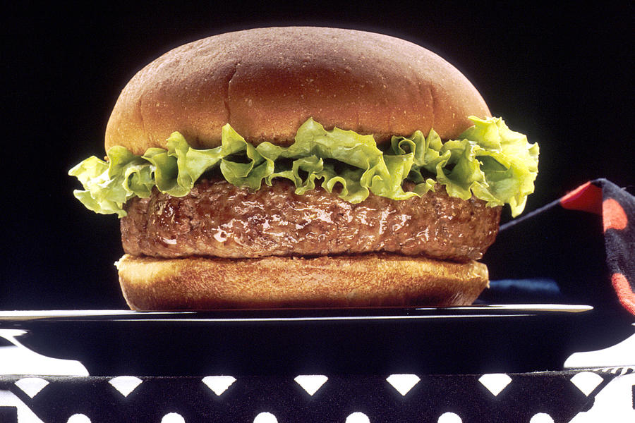 Hamburger Photograph by Science Source