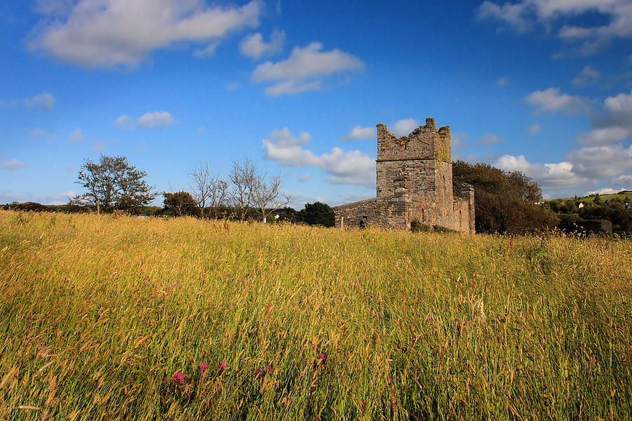 Hamitlons Tower on Meades Hill Photograph by Mark Callanan