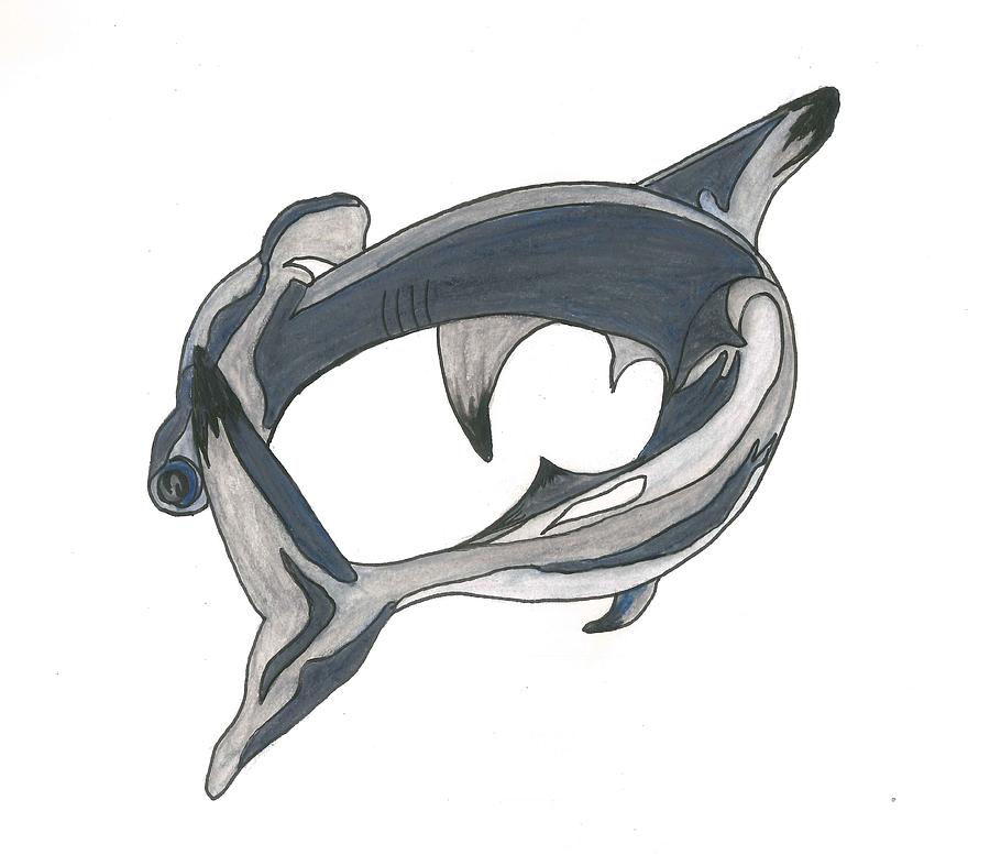 Grey Shark Drawing - Hammer Head Shark by Cherie Sexsmith