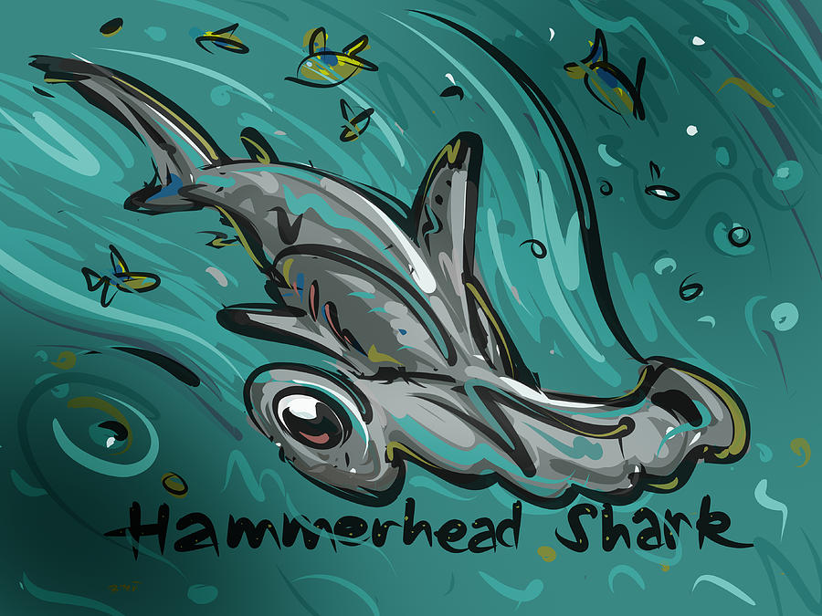 Sharks Drawing - Hammerhead Shark by Brett LaGue