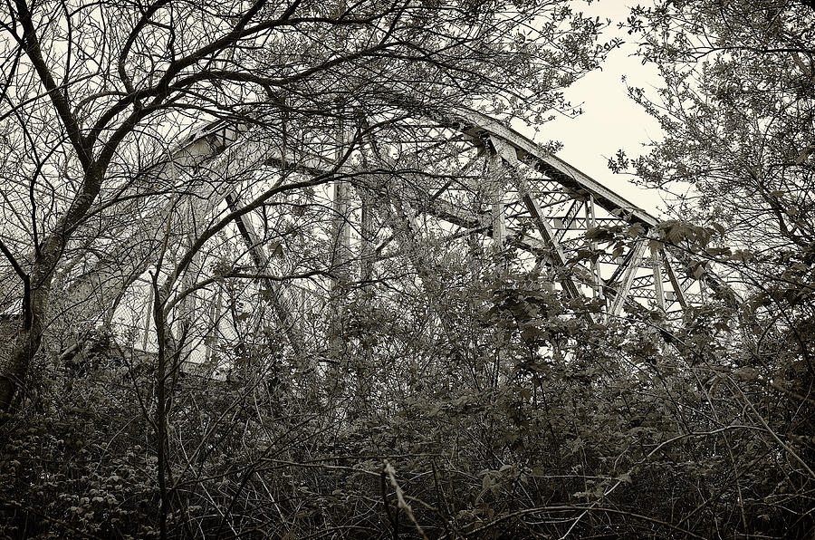 Hammond Bridge Photograph by Jon Exley