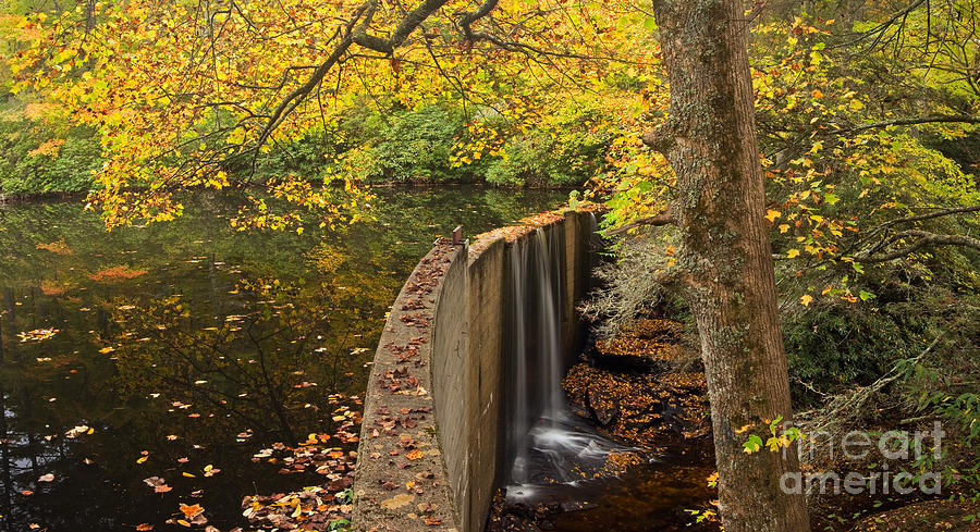 Hampton Lake in Fall Photograph by Matt Tilghman