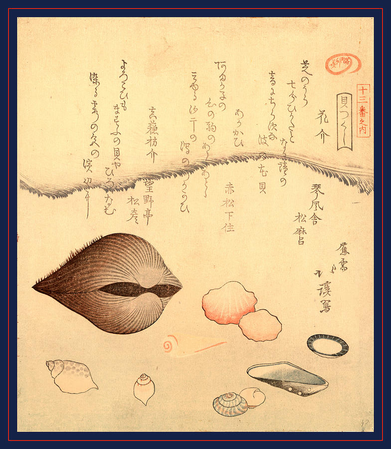 1800 Drawing - Hana Gai Aragai Masuo Gai, Aragai Hokkei by Japanese School