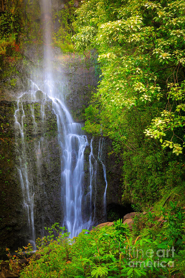 Hana Waterfall Photograph by Inge Johnsson - Fine Art America