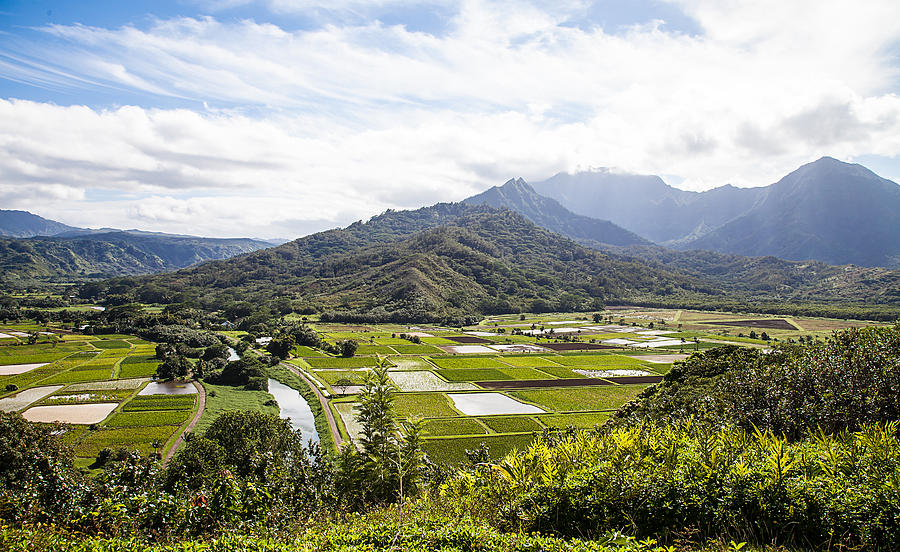 Hanalei Valley Photograph by April Reppucci