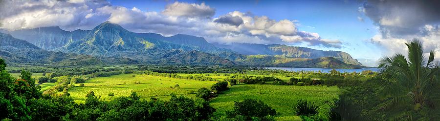 Hanalei Valley Kauai Photograph by Alan Hart
