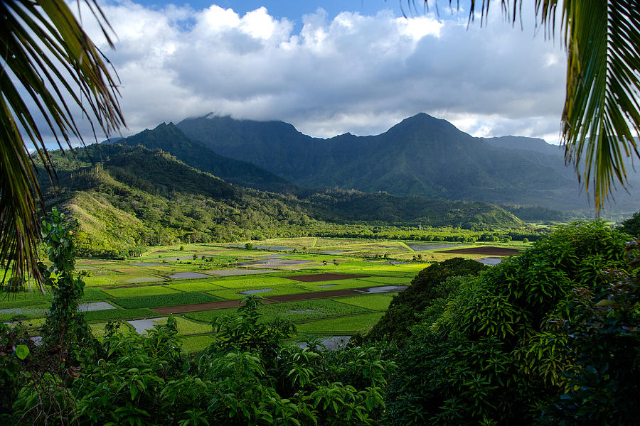 Hanalei Valley Photograph by Michael Ash