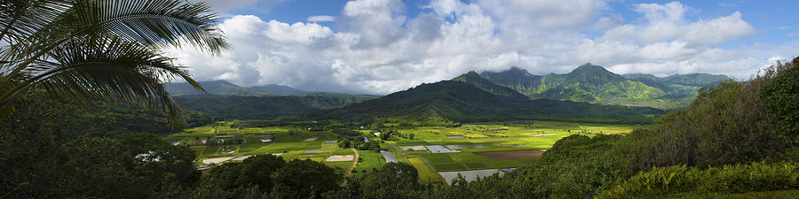 Hanalei Valley Panorama - Kauai Hawaii Photograph by Brian Harig