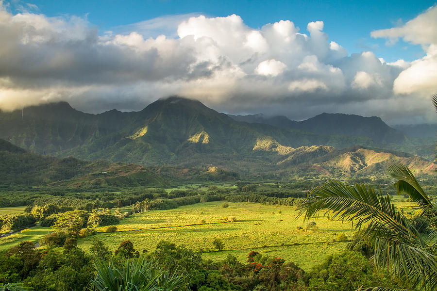 Hanalei Valley Photograph by Roger Mullenhour