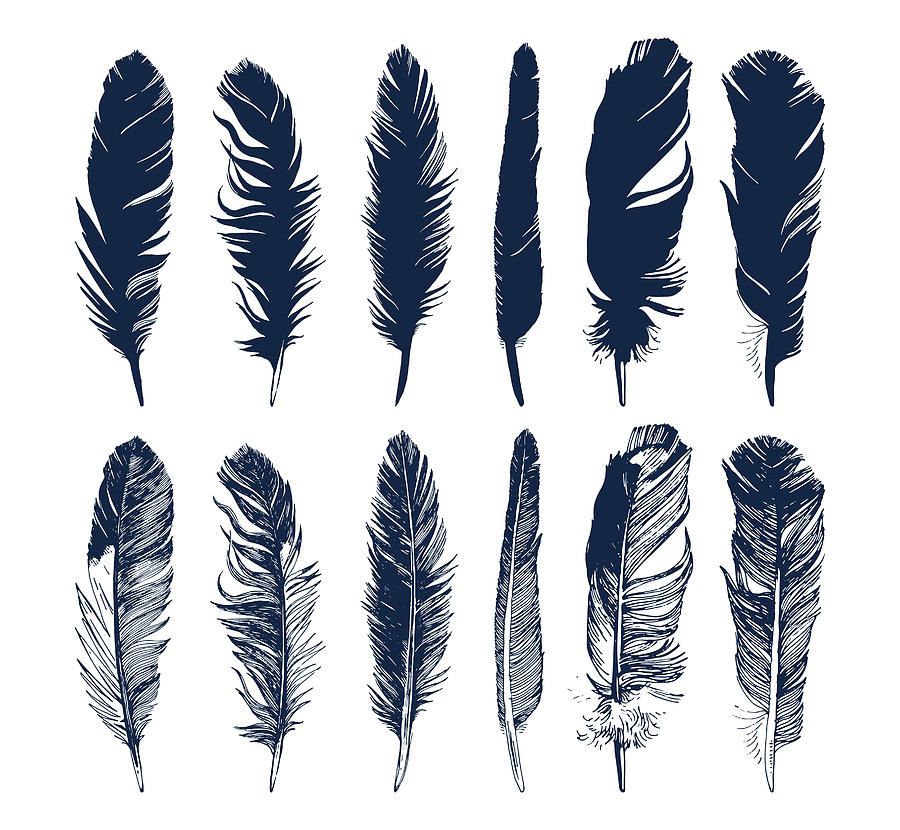 Hand Drawn Feathers Set On White Digital Art by Mart m