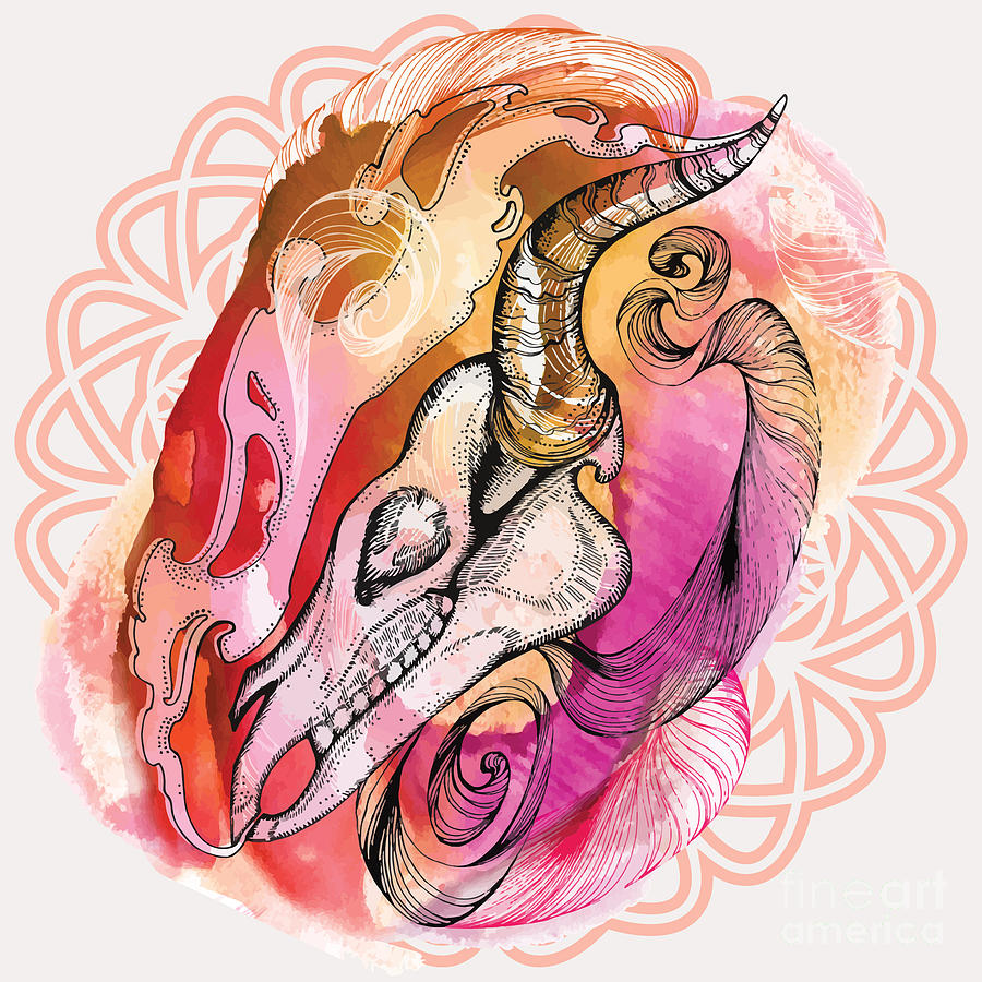 Symbol Digital Art - Hand Drawn Horse Skull Hand Draw by Polina Lina