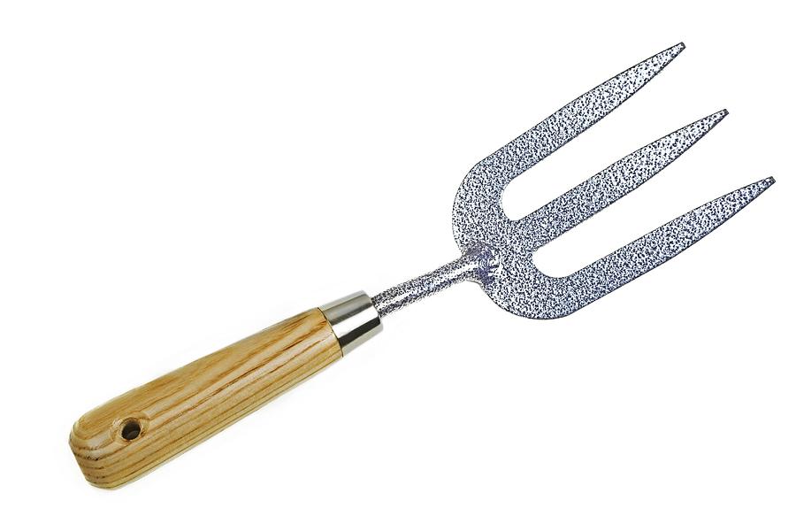 Hand Fork With Wooden Handle Photograph by Ann Pickford/science Photo