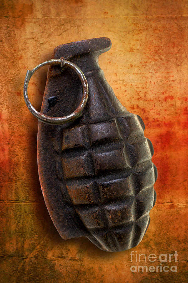 Hand Grenade Photograph by Edward Fielding