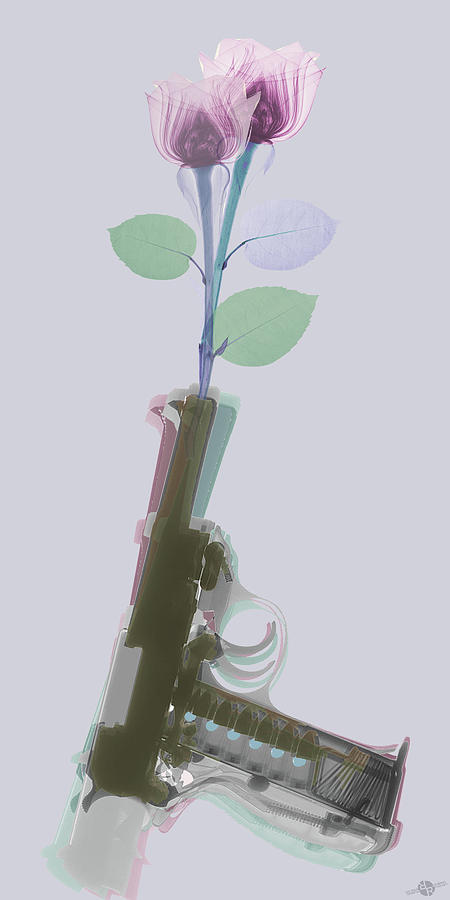 Hand Gun and Flower X-Ray 3 Photograph by Tony Rubino
