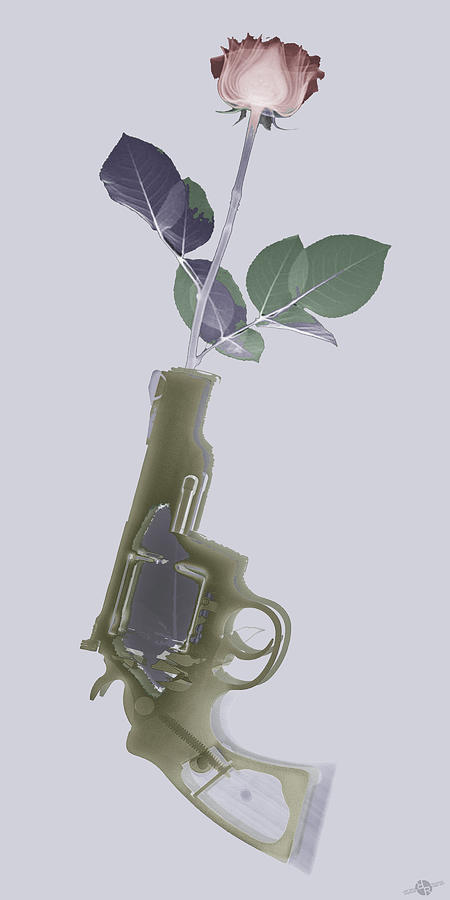 Hand Gun and Flower X-Ray Series 1 Photograph by Tony Rubino