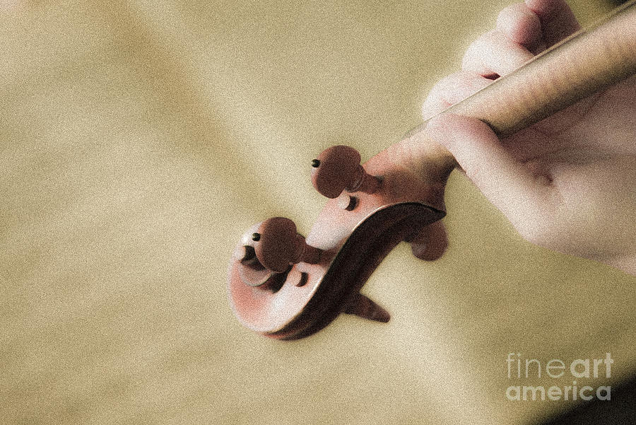 Hand holding a violin. Photograph by Don Landwehrle
