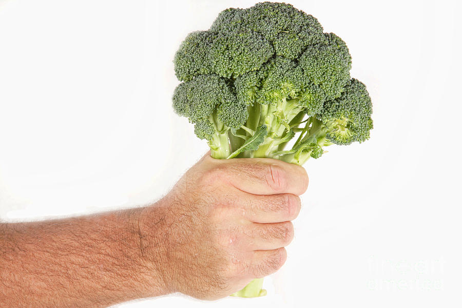 Hand Holding Broccoli Photograph by James BO Insogna