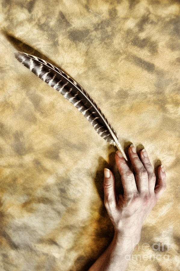 Hand Holding Feather Photograph By HD Connelly - Fine Art America