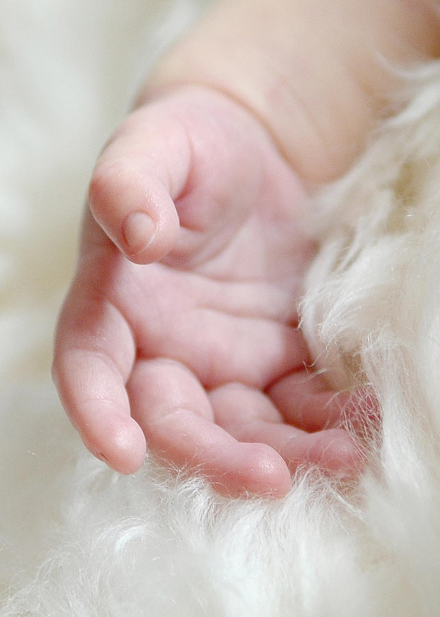 Hand of an Angel Photograph by Lisa Phillips