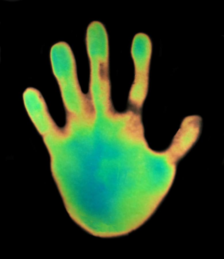 Hand, thermogram by Science Photo Library