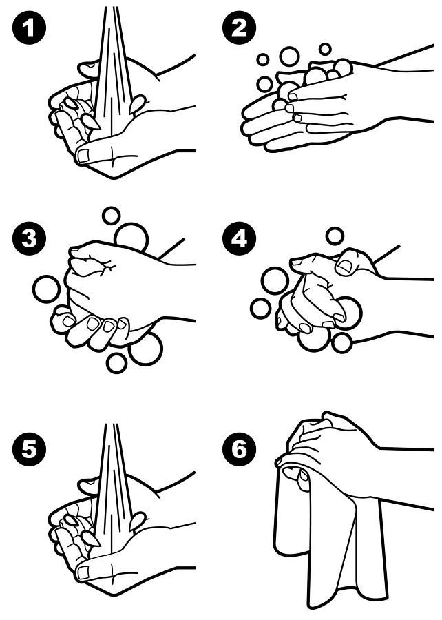 Hand Wash Instruction Drawing by Medesulda