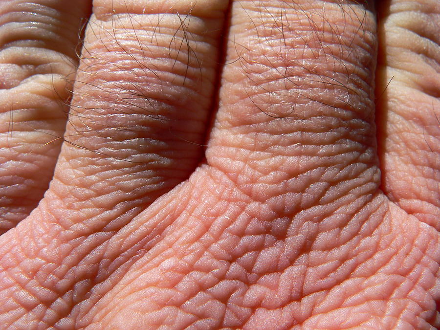 Hand Wrinkles Photograph by Jeff Lowe