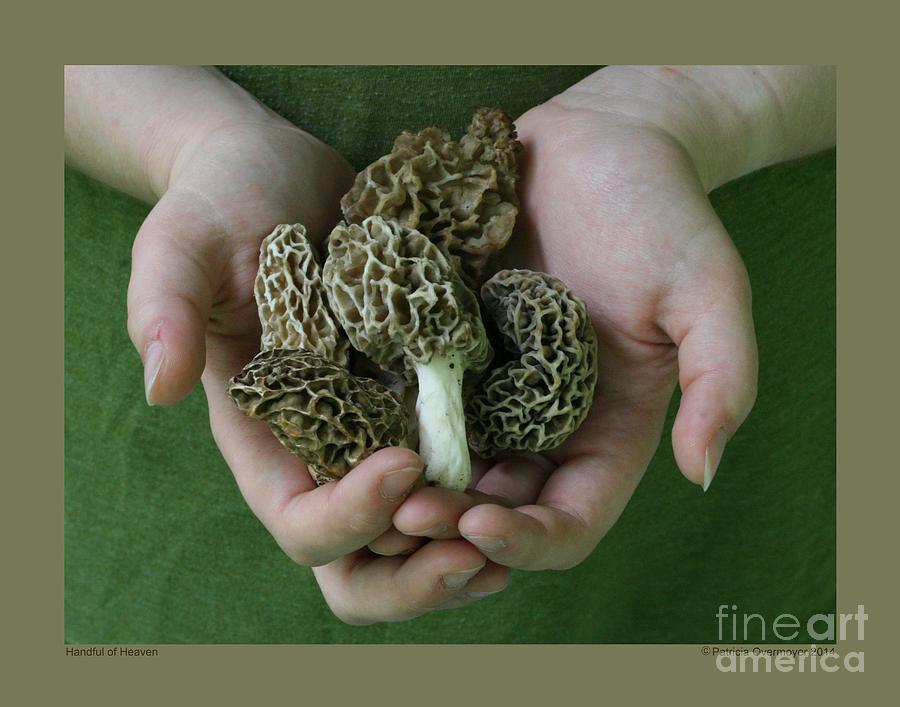 Handful of Heaven Photograph by Patricia Overmoyer