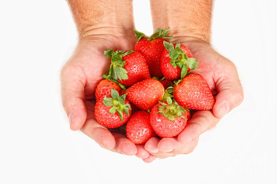 Handful of Strawberries Photograph by James BO Insogna