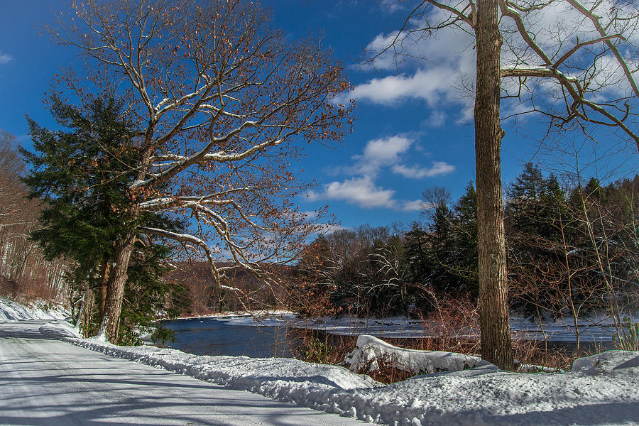 Winter Photograph - Handing out the sunshine by Anthony Thomas