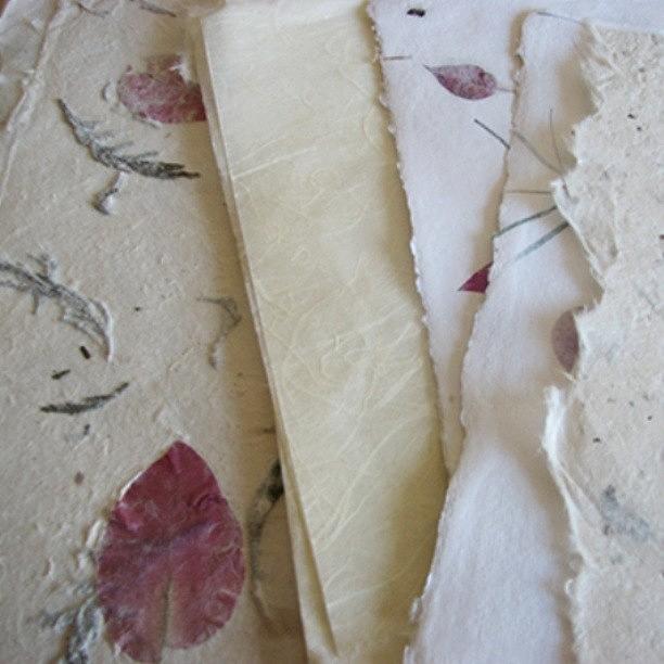 Handmade Paper Swoon Fest On My Table Photograph by Louise Gale
