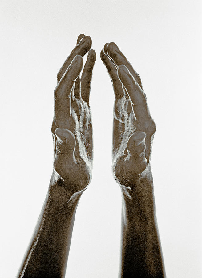 Hands Photograph by Franklyn Rodgers/science Photo Library