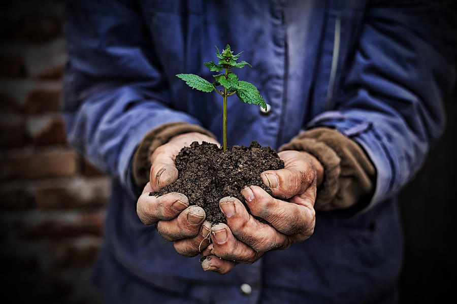 Hands holding new growth plant-dark background Photograph by Valentinrussanov