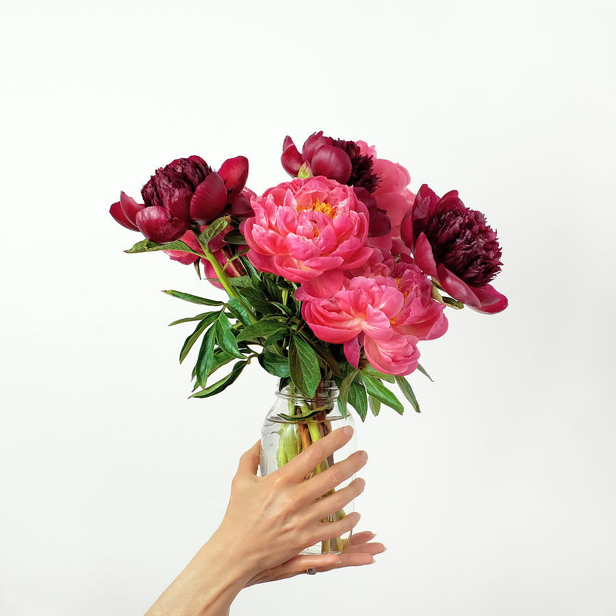 Hands holding vibrant pink flowers in jar Photograph by Juj Winn
