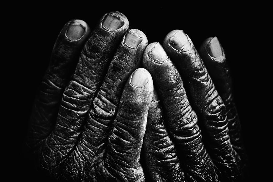Old Hands With Wrinkles Photograph by Skip Nall