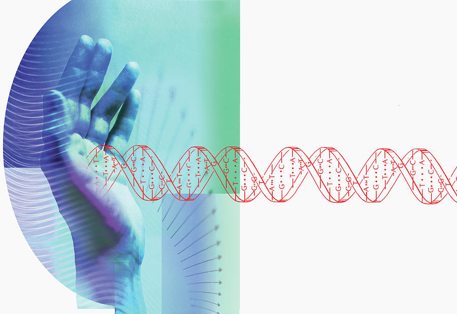 Hands Stopping Dna Helix Photograph by Ikon Ikon Images