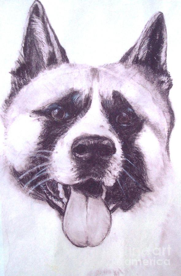 Handsome Akita Drawing by Lucia Grilletto Fine Art America