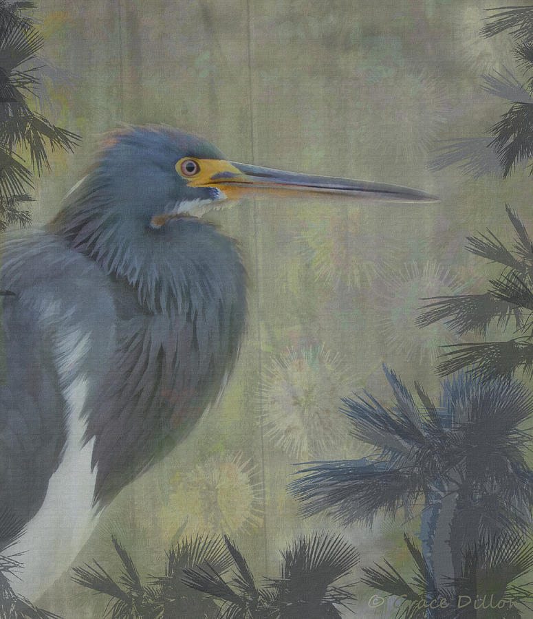 Egret Digital Art - Handsome Heron by Grace Dillon